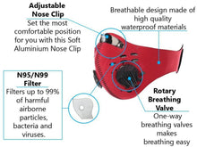 Load image into Gallery viewer, Shinobi Face Protection N95